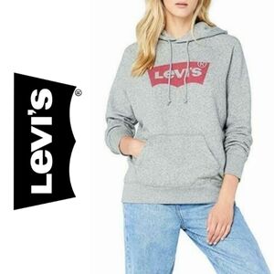 Levi's Graphic Logo Everyday Hoodie in grey